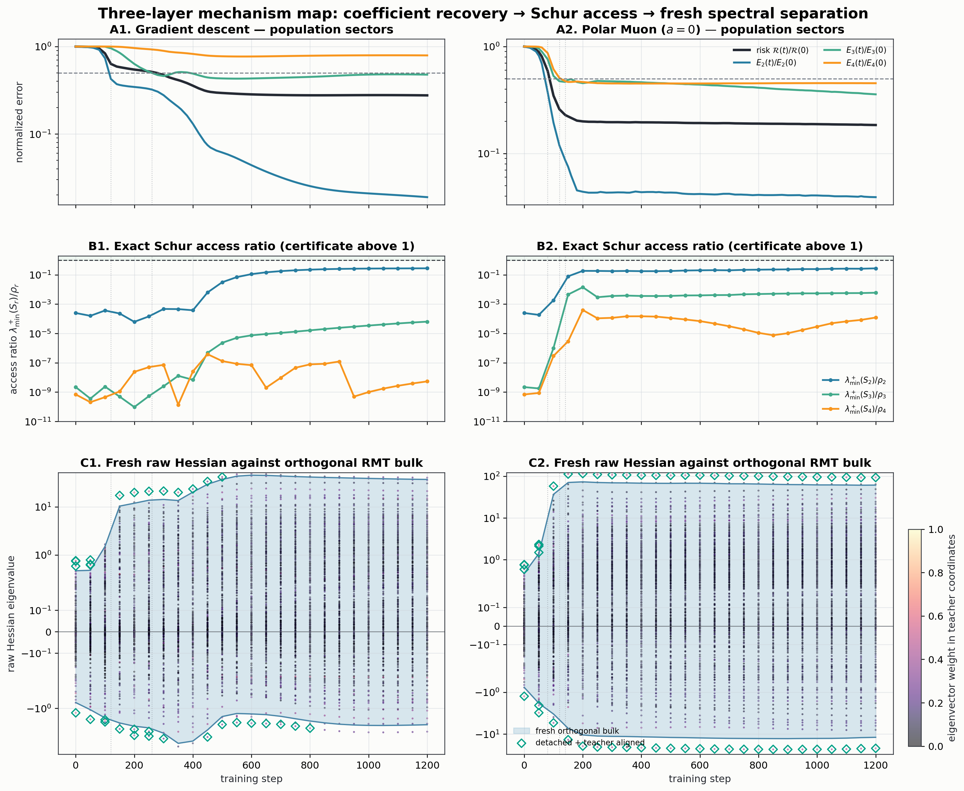 Gradient descent and polar Muon compared through normalized Hermite errors, exact finite Schur access ratios, and fresh full-Hessian spectra over training time