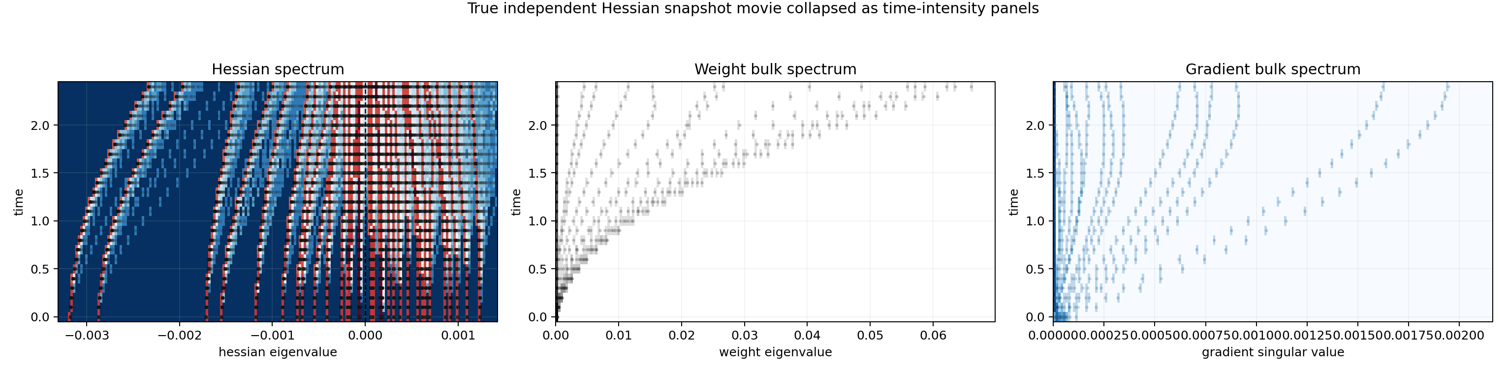 Gradient, weight, and Hessian spectra over time